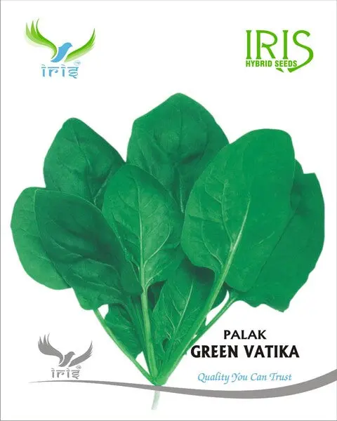 Iris Op Palak Green Vatika (All Green) 1