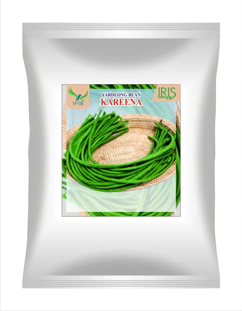 Iris Op Yardlong Beans Kareena 1