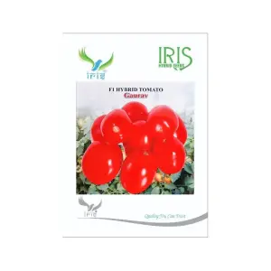 Iris Hybrid Vegetable Seeds F1 Hybrid Tomato Gaurav 1