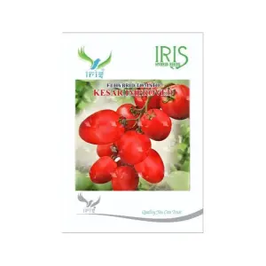 Iris Hybrid Vegetable Seeds F1 Hybrid Tomato Kesar Improved 1
