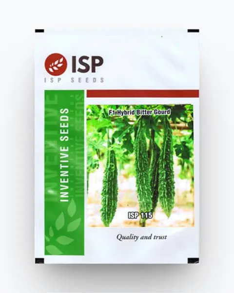 Isp115 Bitter Gourd 1