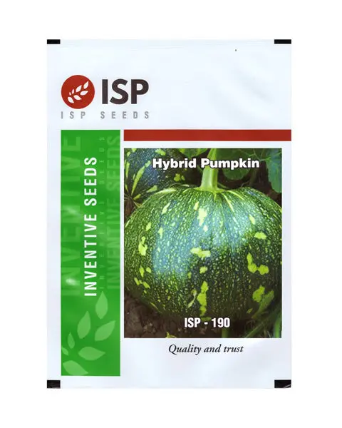 Isp190 Pumpkin - Green Skin 1