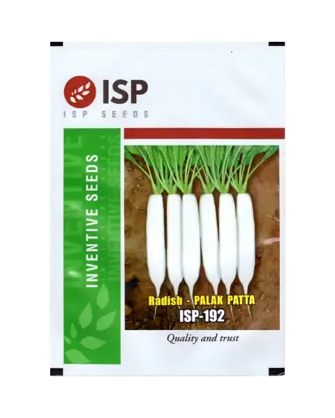 Isp192 Radish - Palak Patta 1