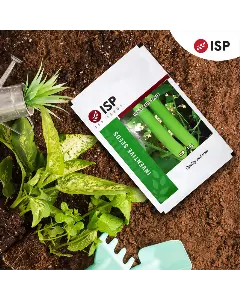 Isp195 Bottle Gourd 1