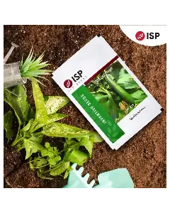 Isp225 Sponge Gourd 1