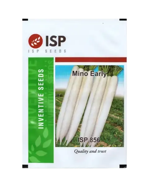 Isp856 Radish Minu Early Seeds – Fast-Growing, Long White Roots 1