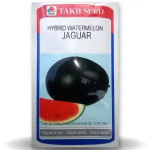 Jaguar Watermelon F1 1