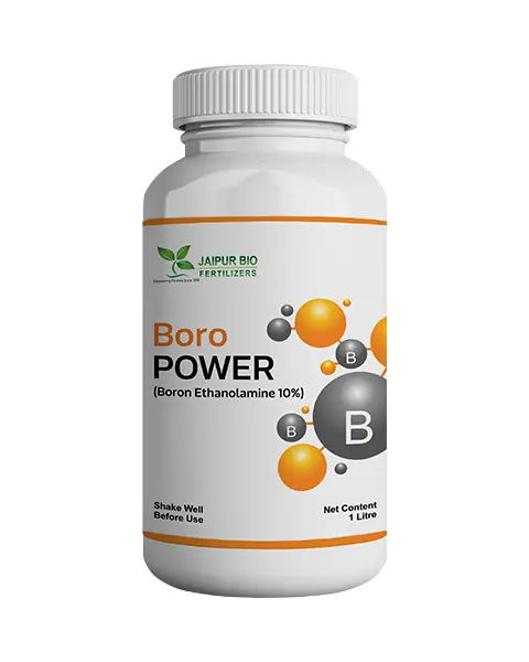 Boro Power (Boron Ethanolamine 10%) 1