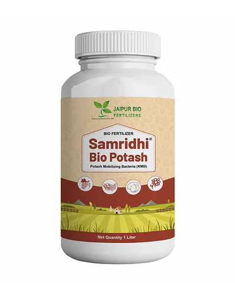 Samridhi Bio Potash (Potassium Mobilizing Bacteria - Kmb) 1