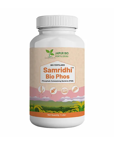 Samridhi Bio Phos (Phosphate Solubilizing Bacteria - Psb) 1