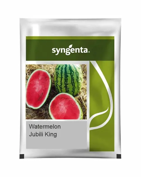 Jubili King Watermelon 1
