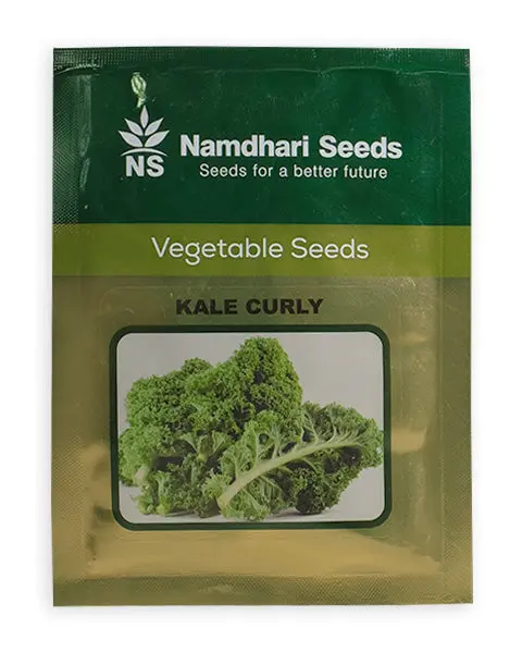 Kale Curly F1 Ns 10251 Kgp 1