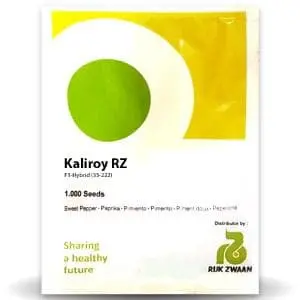 Kaliroy Rz F1 Yellow Capsicum 1
