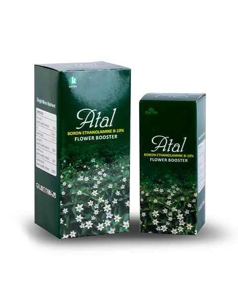 Atal Liquid Boron Fertilizer Boosts Flowering, Fruit Setting & Improves Fruit Quality 1