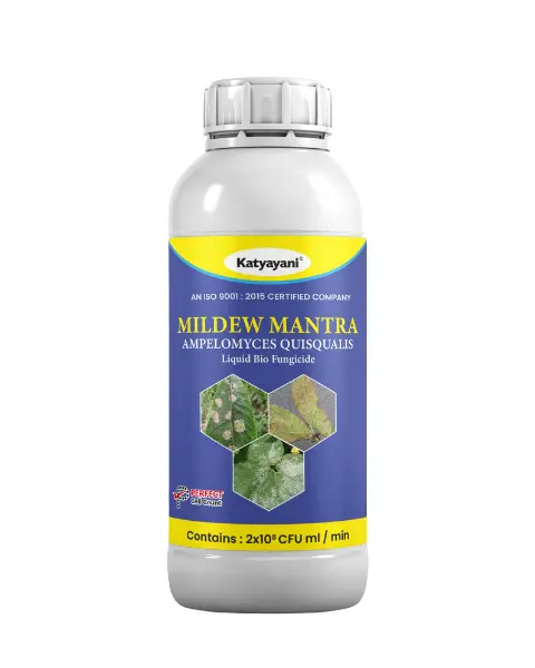 Katyayani Mildew Mantra (Ampelomyces Quisqualis) - Bio Fungicides 1