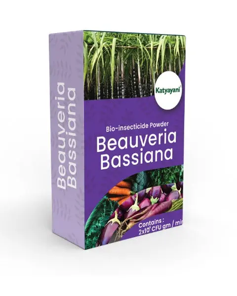 Katyayani Beauveria Bassiana Bio Insecticide Powder - Organic Solution For Thrips, Aphids & More 1