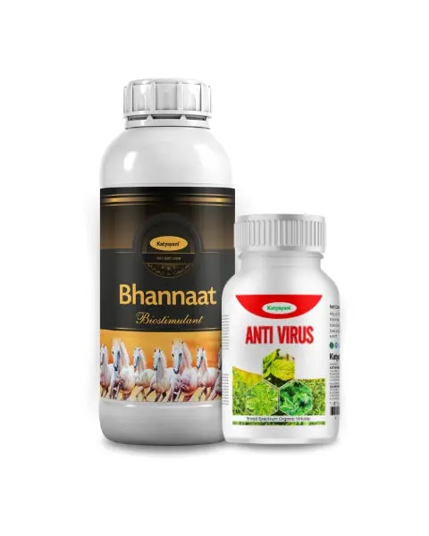 Katyayani Chilli Leaf Curl Missile Kit 1