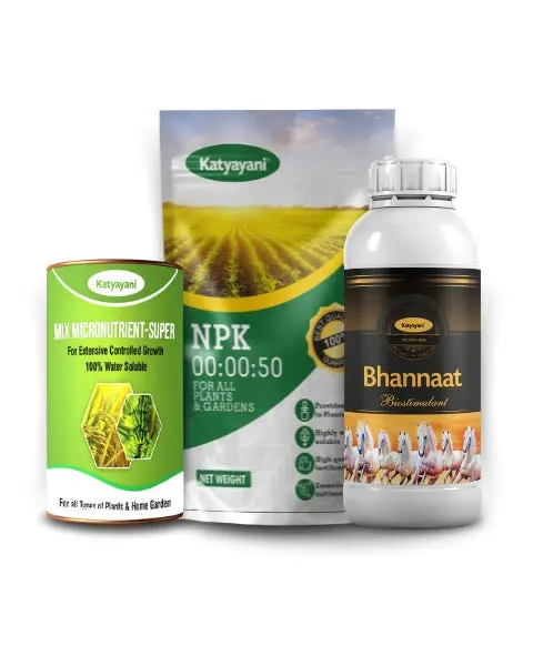 Katyayani Chilli Quality Production Kit 1