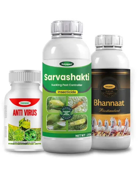Katyayani Chilli Whitefly & Leaf Curl Control Kit 1
