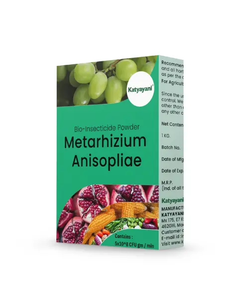 Katyayani Metarhizium Anisopliae Bio Insecticide Powder- Manages Sucking Pests, Caterpillars & More 1