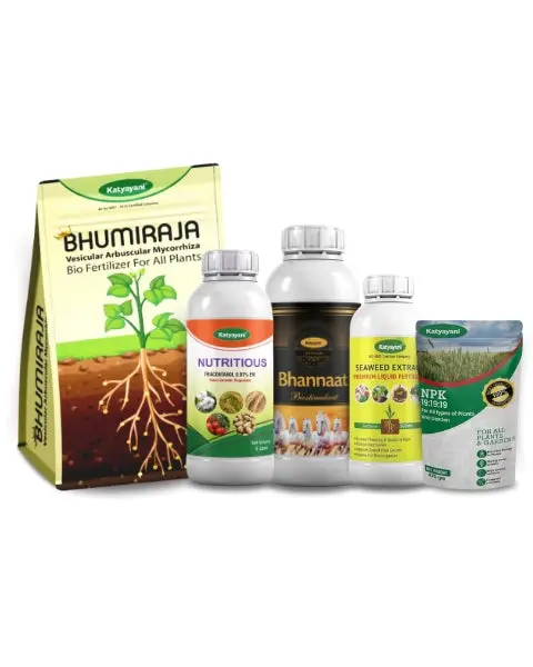 Katyayani Paddy Growth Special Kit 1