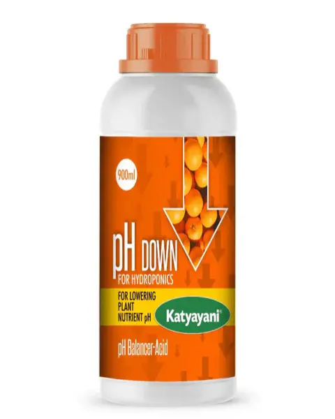 Katyayani Ph Down 1