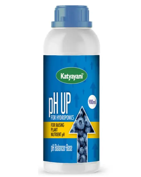 Katyayani-Ph-Up 1