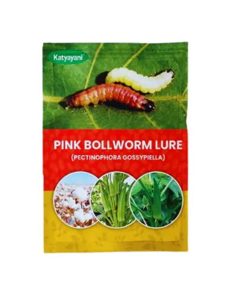 Katyayani Pink Bollworm Lure 1