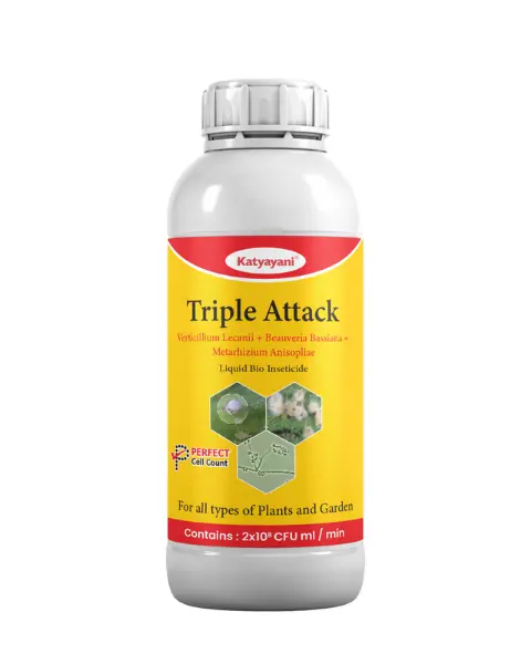 Katyayani Triple Attack- Verticillium, Beauveria, Metarhizium Action On Pests 1
