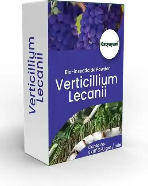 Katyayani Verticillium Lecanii Bio Insecticide Powder 1