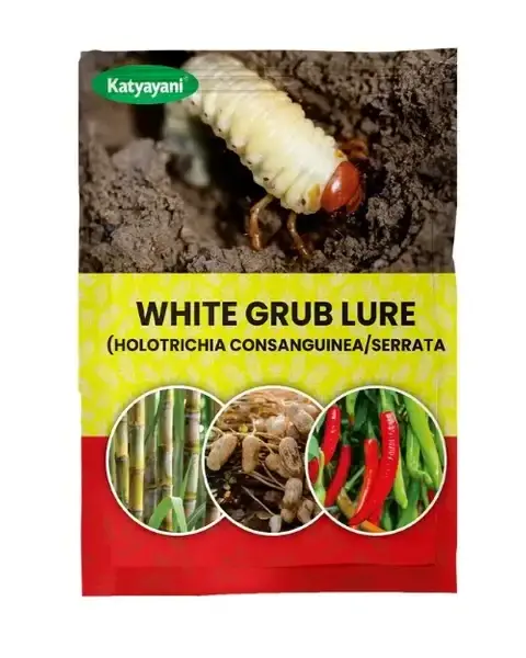 Katyayani White Grub Lure 1