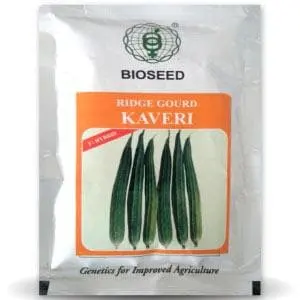 Kaveri Ridge Gourd ( कावेरी तुरई ) 1