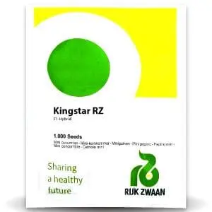 Kingstar Rz F1 Cucumber 1