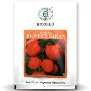 Kiran Tomato ( किरण टमाटर ) 1