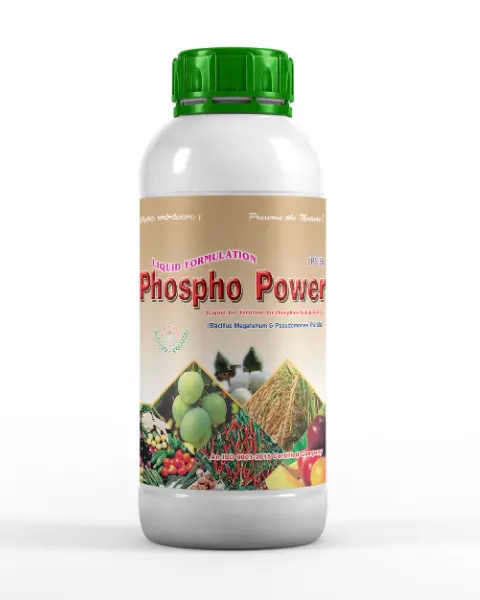 Kn Biosciences Phospho Power Liquid Bio Fertilizer 1