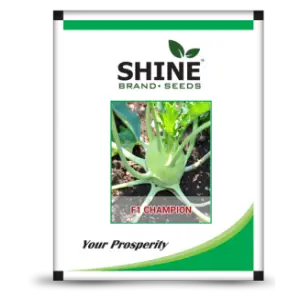 Shine Knol Khol Champion F1 Seeds 1