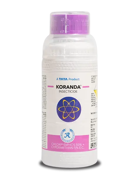 Koranda Insecticide (Chlorpyrifos 50% + Cypermethrin 5% Ec) For Paddy & Cotton 1