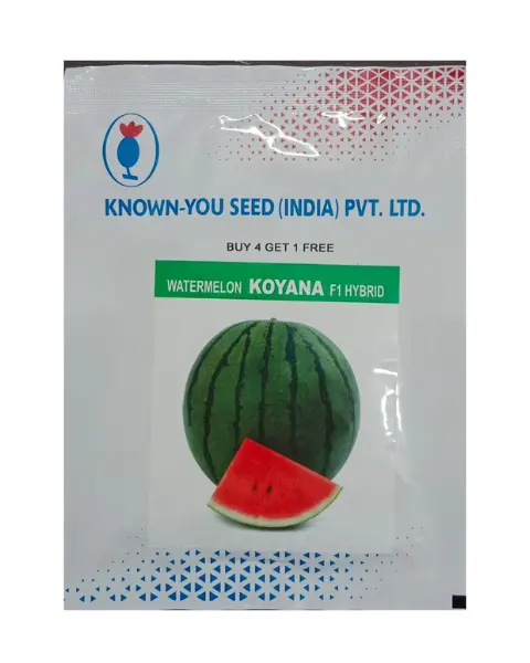 Koyana Watermelon 1
