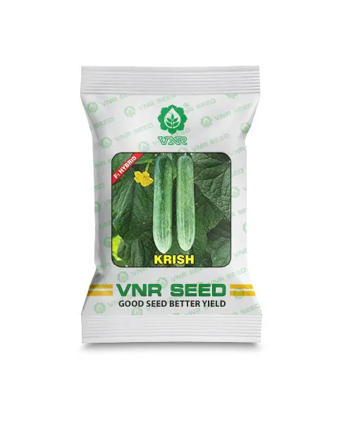 Vnr Krish Cucumber Seeds - F1 Hybrid & High Yield Variety 1