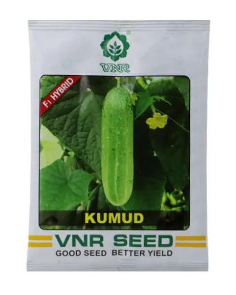 Kumud Hybrid Cucumber Seeds – Low Bitterness & High Yield 1