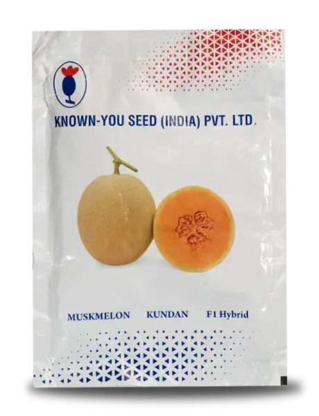 Known-You Kundan F1 Hybrid Muskmelon Seeds 1