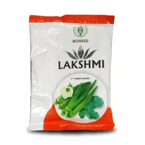 Lakshmi Bhendi (Okra) ( लक्ष्मी भिंडी ) 1