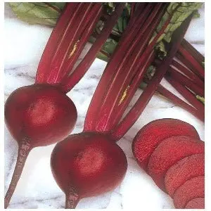 Lalima Beet Root 1