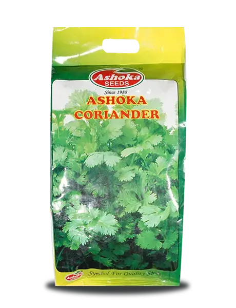 Late Bolting Coriander - Strong Rapid Growth, Aromatic, Multicut Variety 1