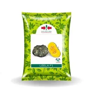Leela Pumpkin Seeds 1