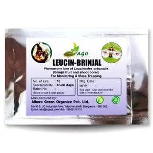 Leucin Brinjal Lure (Leucinodes Orbonalis) 1