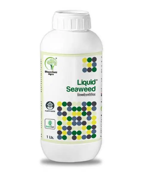 Bloomfield Liquid Seaweed 1