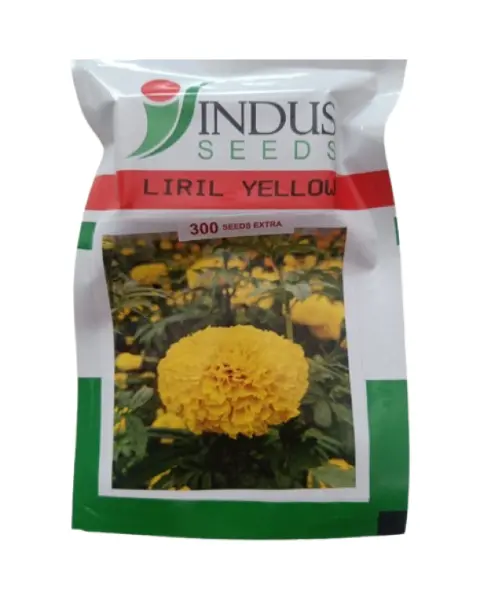 Liril Yellow Marigold- Bright Yellow, High Yield, Long-Distance Shipping 1