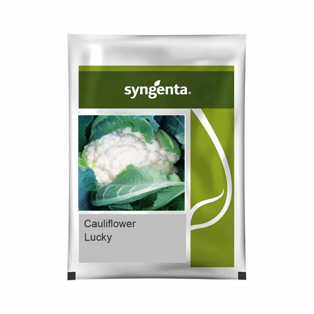 Syngenta Lucky Cauliflower Seeds 1