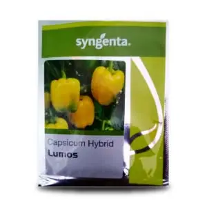 Lumos Capsicum Seeds 1